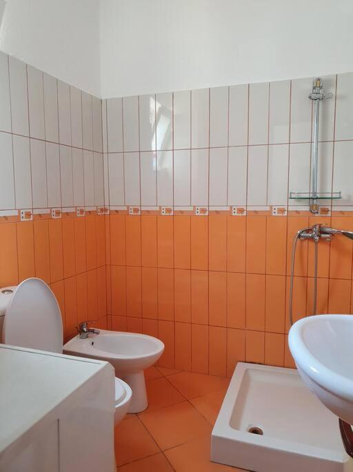 Cozy Apartment Near Ohrid Lake 波格拉德茨 外观 照片